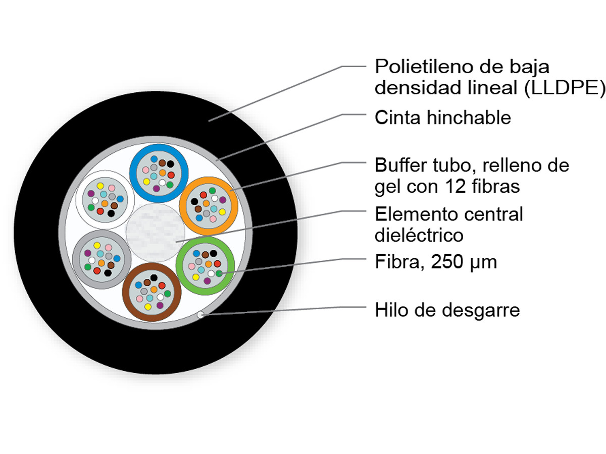 E10 LEAF® de 6x12 ITU G655