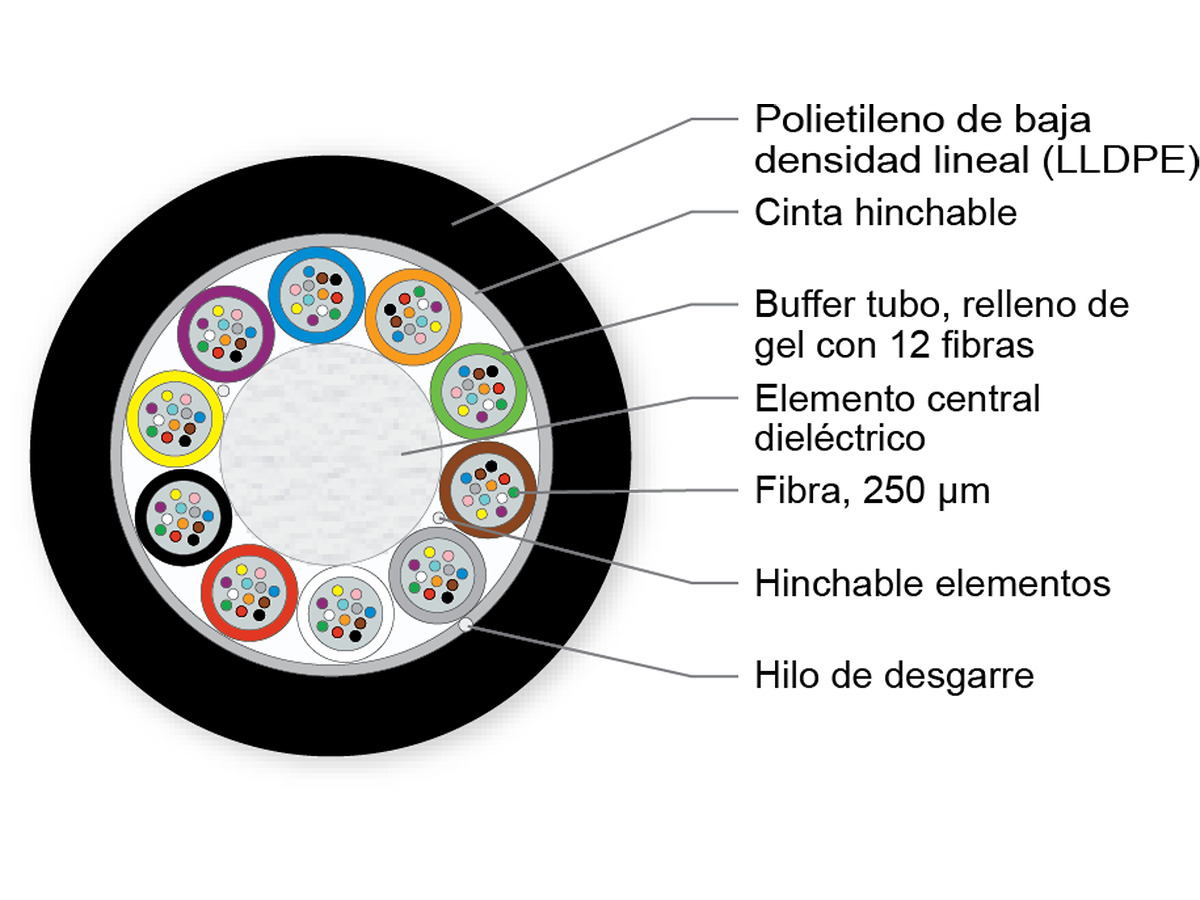 E10 LEAF® de 10x12 ITU G655