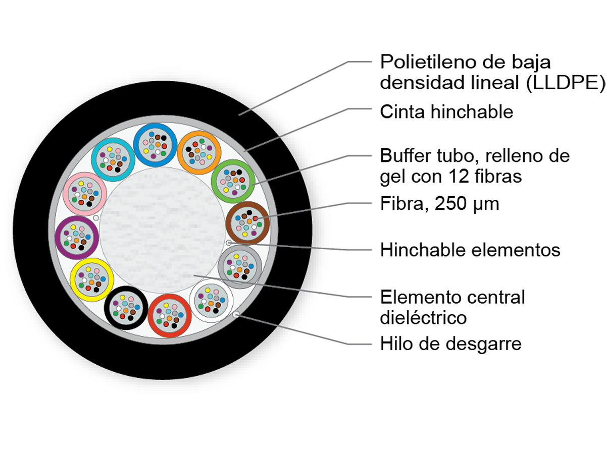 E10 LEAF® de 12x12 ITU G655