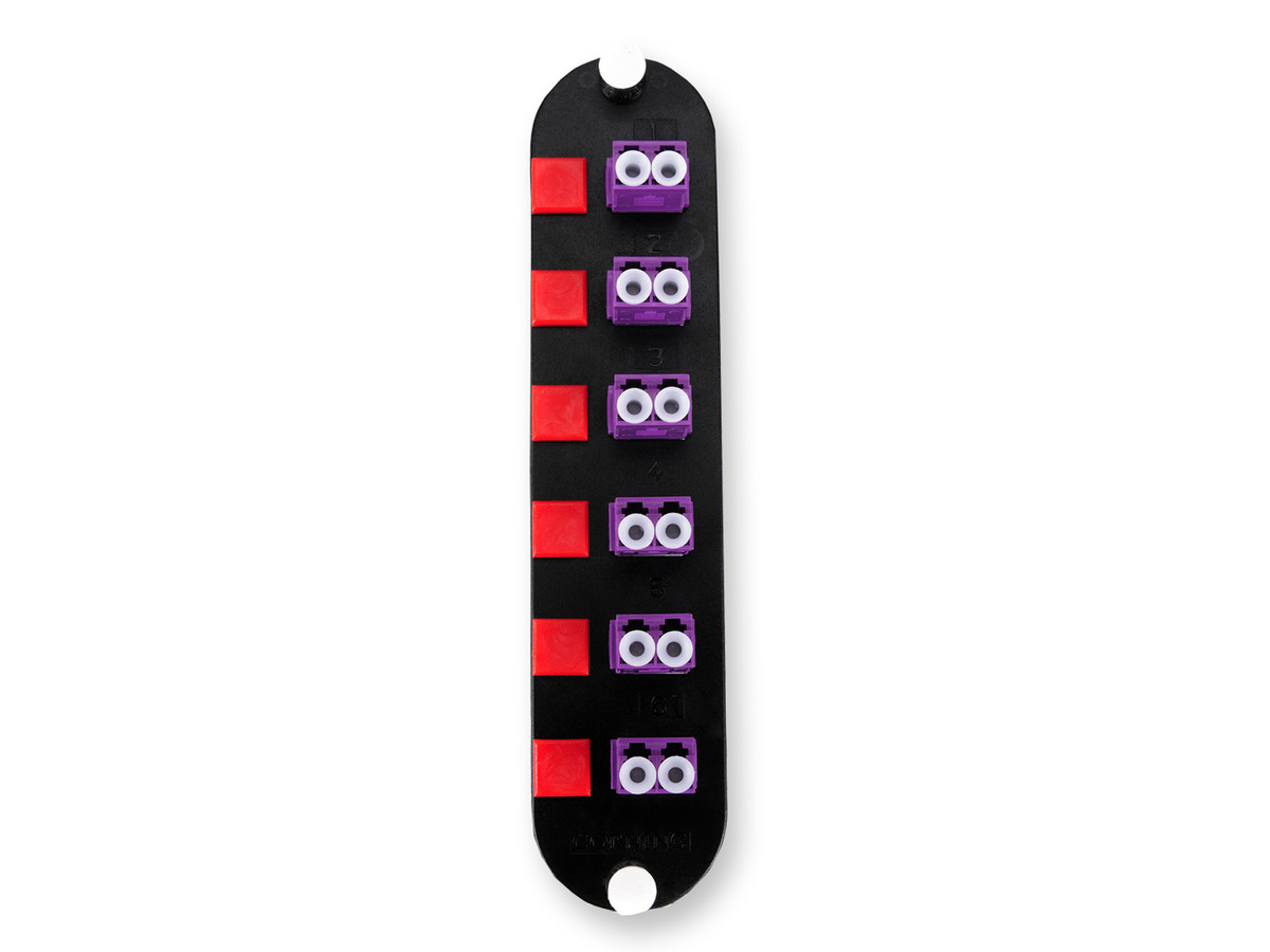 (Keyed-Keyed) Duplex, 12 F, SM/MM, violet