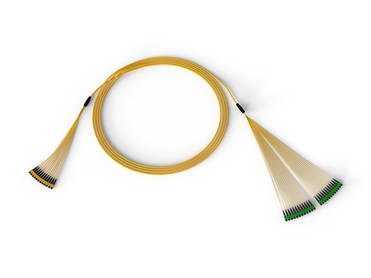 288F, 24F MTP to 12F MTP Trunk Cable, LSZH, Indoor, Single-mode (OS2) Ultra, Pulling grip on one end, 100 meters