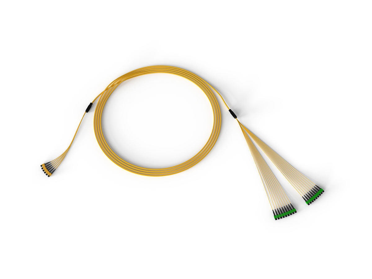144F, 24F MTP to 8F MTP Hybrid Trunk Cable, Plenum, indoor, Single-mode (OS2) Ultra, Pulling grip on one end, 100 feet