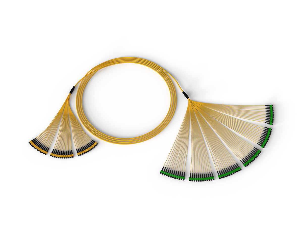 Troncos divisores internos EDGE™  Rapid Connect - MTP para MTP