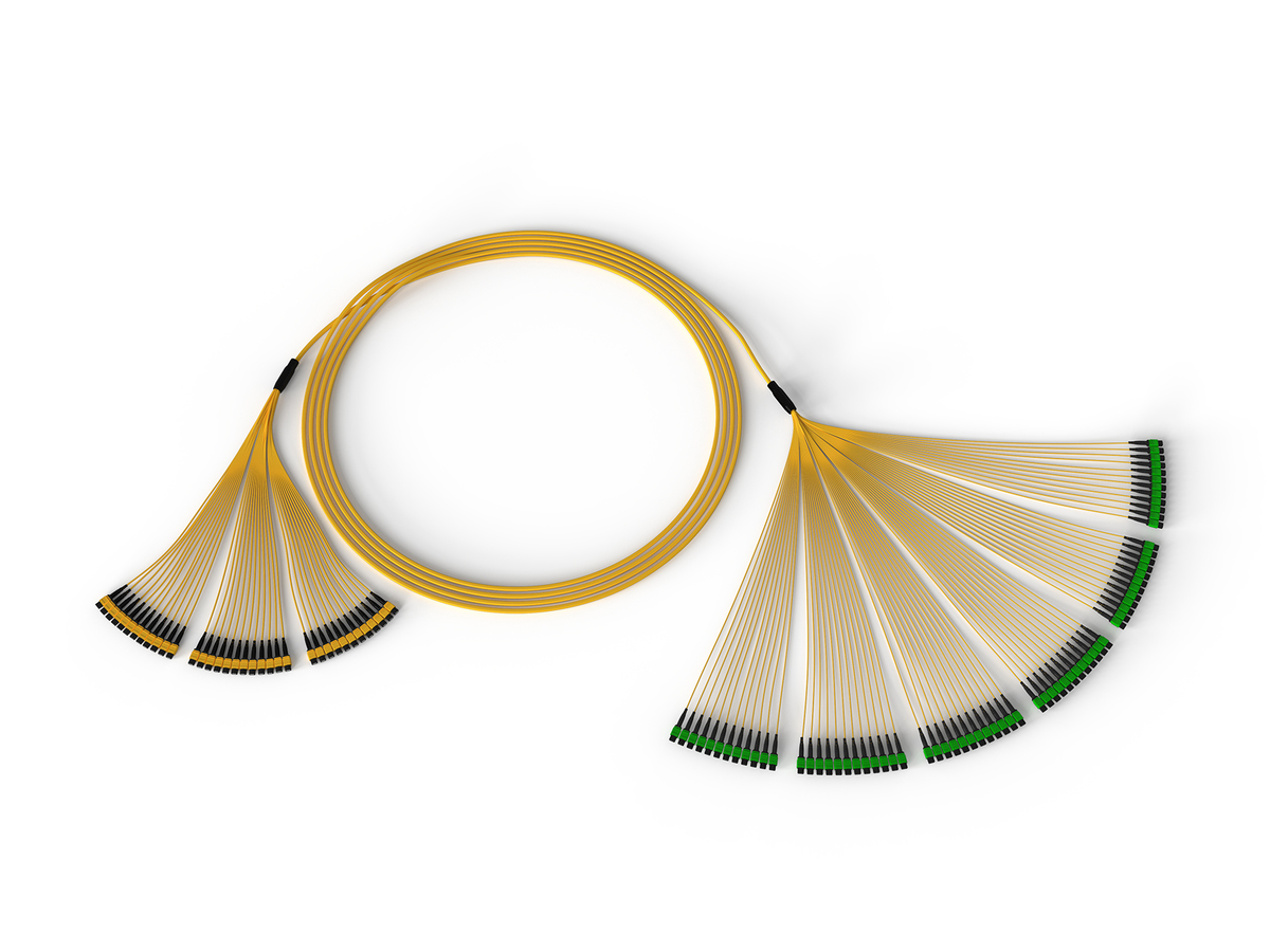 864F, 24F MTP to 12F MTP Trunk, Ultra Ribbon Riser cable, Single-mode (OS2) Ultra, Pulling grip on one end, 100 feet