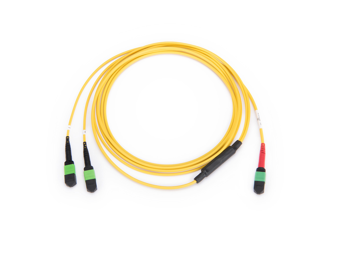 24 F MTP® (non-pinned) to 12 F MTP (pinned) MTP, Plenum, OS2, Type Universal polarity, 12 F leg length of 24 in (K), 10 ft