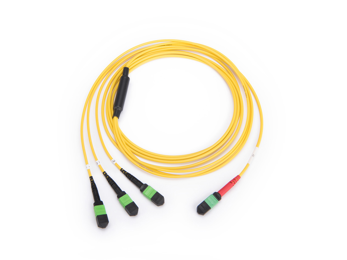 24 F MTP® (non-pinned) to 8 F MTP (pinned), LSZH, OS2, Type-A polarity, 8 F leg length of 24 in (K), 3 m