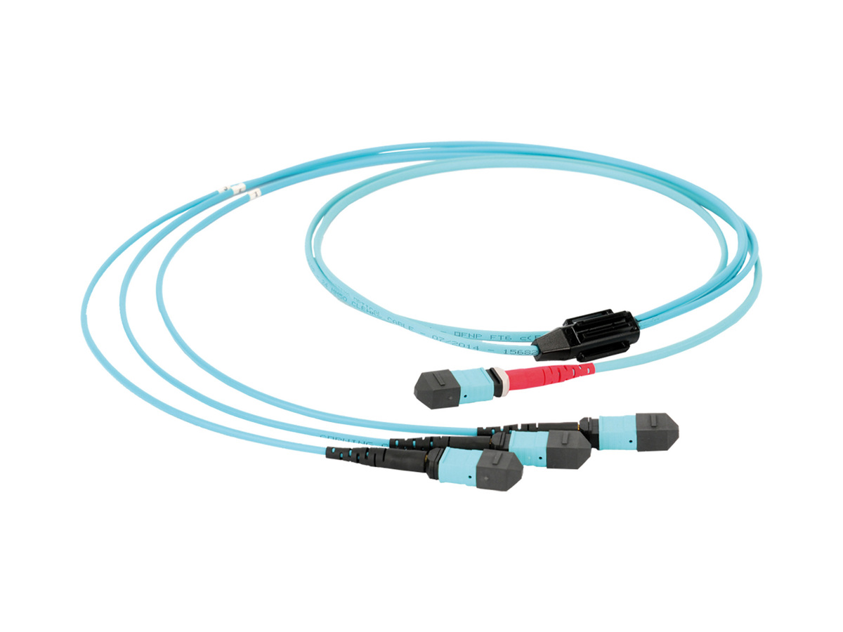 EDGE™ Solutions 24 F MTP® Breakout Harness