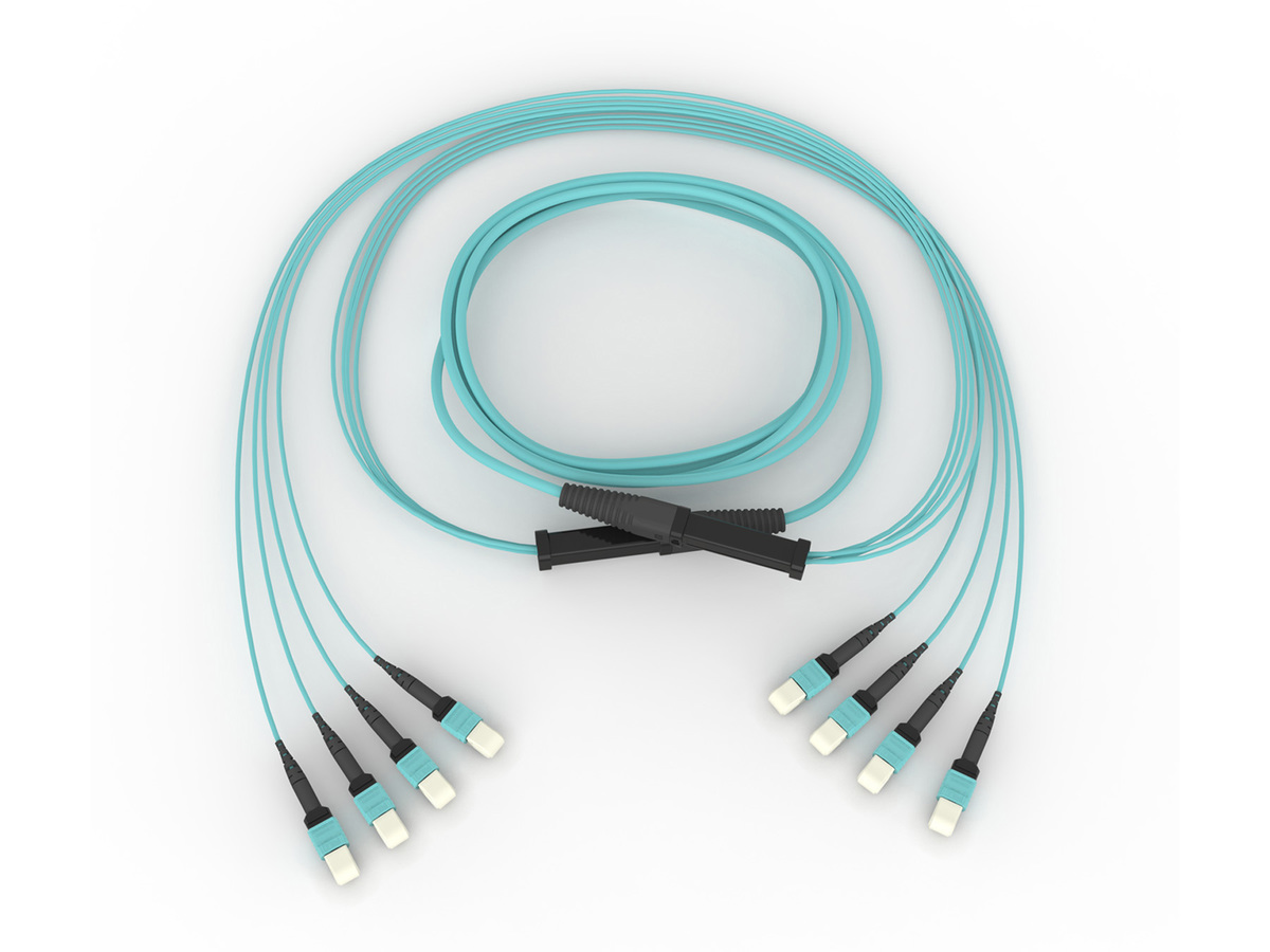 12F, 50 µm multimode (OM3), 100 ft