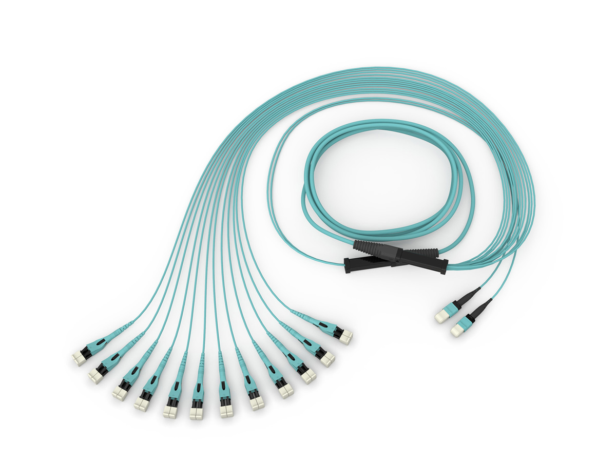 144F, 50 µm multimode (OM4), 100 ft