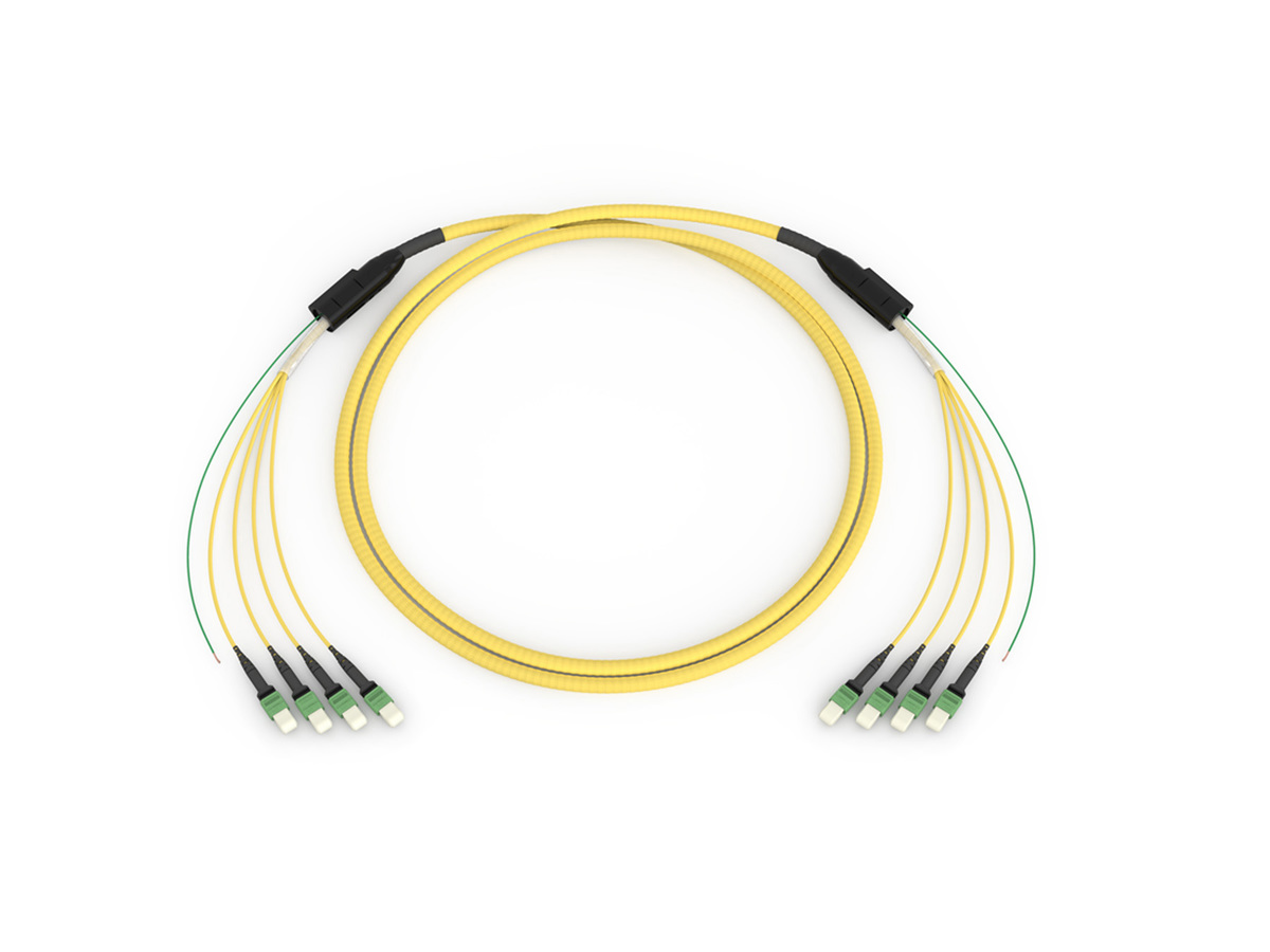 Bend-improved Single-mode (OS2), MTP® (non-pinned) to MTP (non-pinned), 96 F, with 33/33 in legs, pulling grip one side, 100 ft