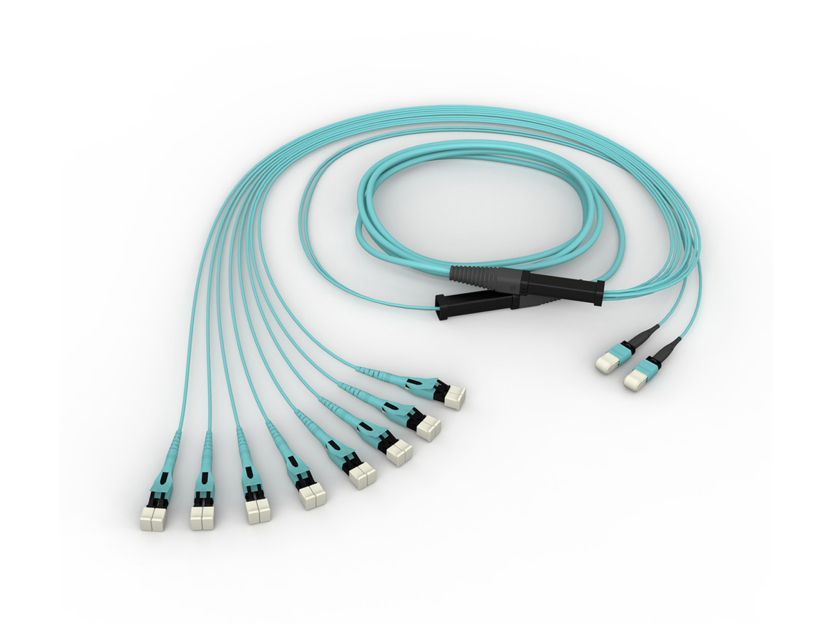 24F, 50 µm multimode (OM4), 100 ft