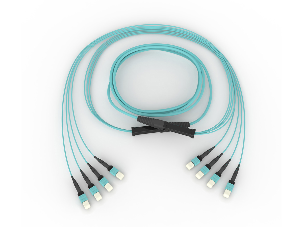 50 µm multimode (OM4), 8F MTP (pinned) Connector to 8F MTP (pinned) Connector, 24 F, with 33 inch legs, pulling grip one side, 100 ft