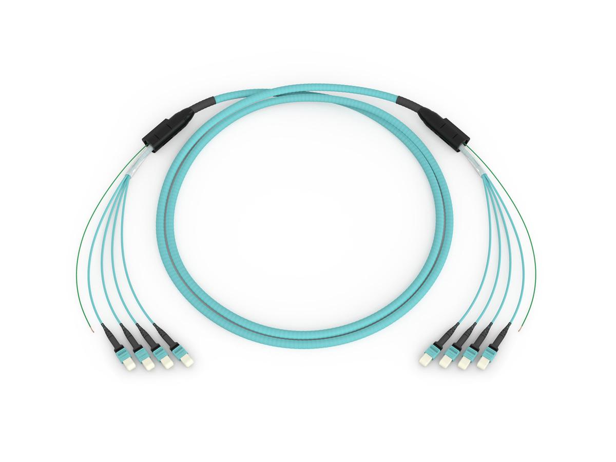 48F, 50 µm multimode (OM4), Armored, 100 ft