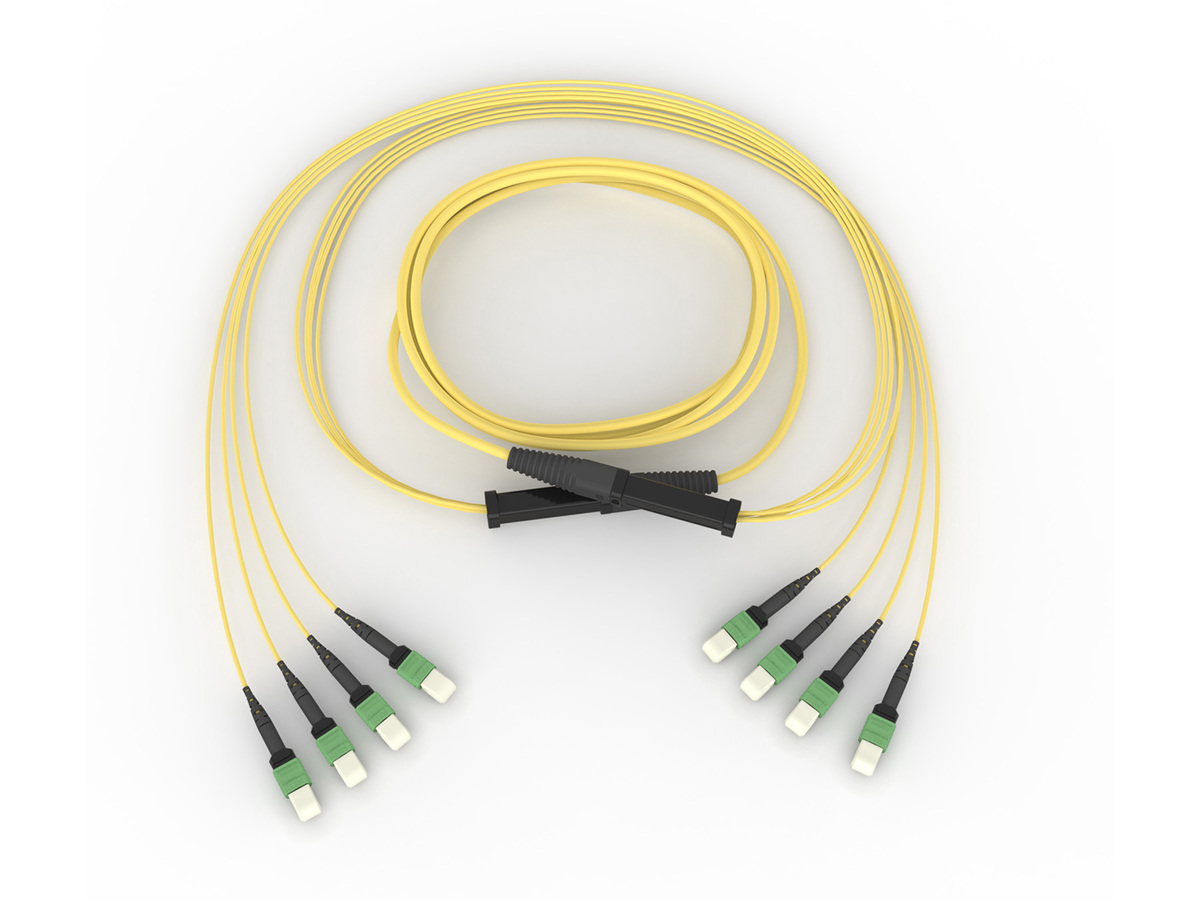 16F, Bend-Improved single-mode (OS2), 100 ft