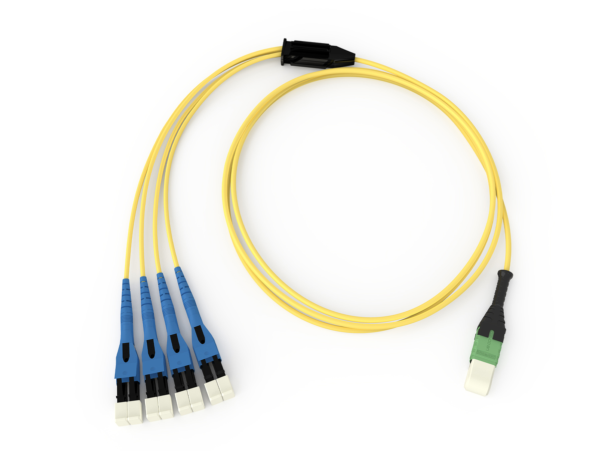 8F, Bend-improved Single-mode (OS2), MTP® PRO (pinned), Plenum, TIA-568 Type-B polarity, Type 4 (reference AEN157), 10 ft