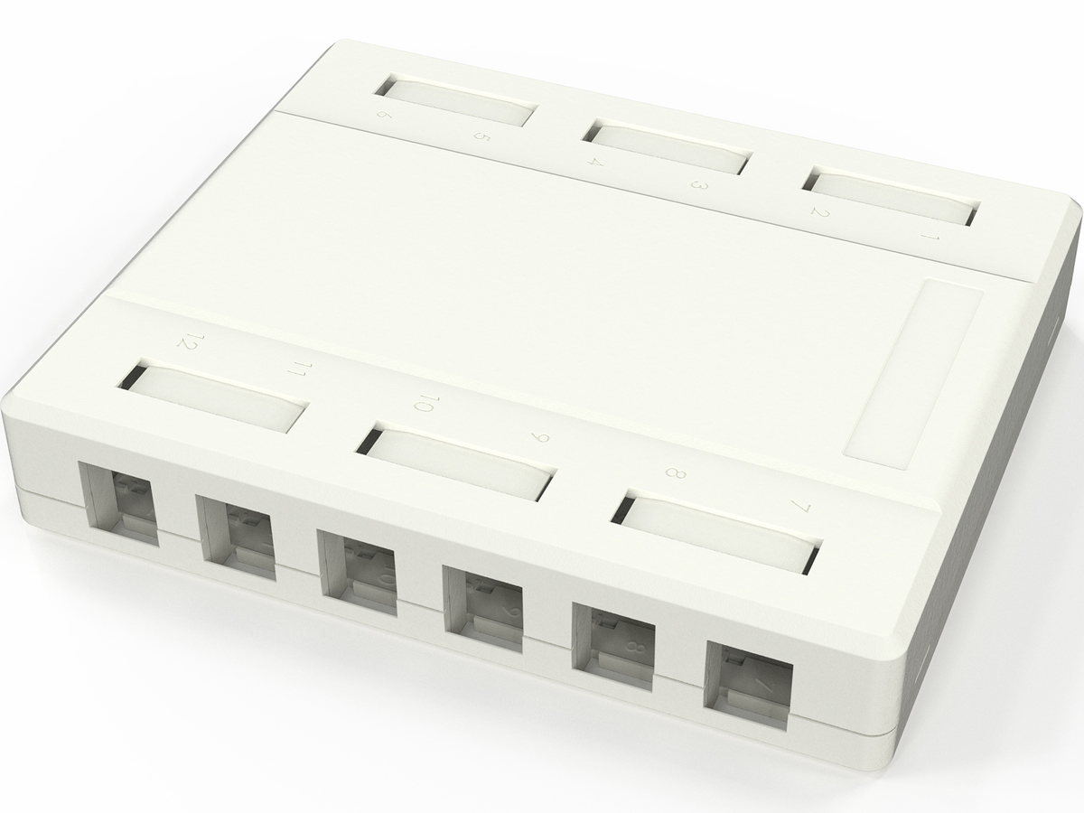 Surface mounting 12 ports, Keystone