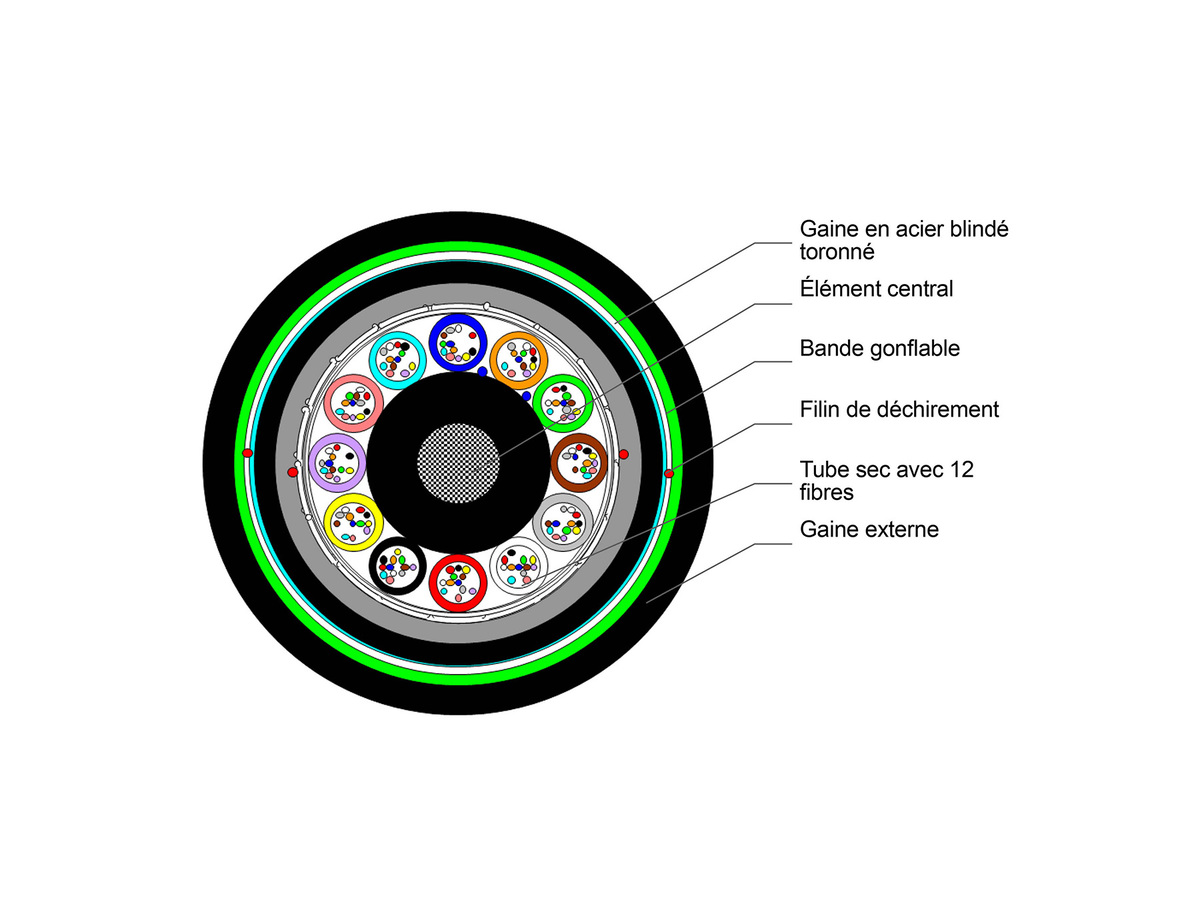 12X12 ClearCurve® Multimode OM4, B2ca, s1, d1, a1