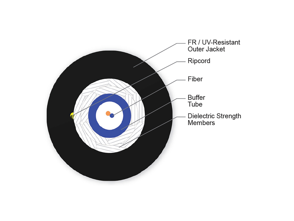 2 F, 50 µm multimode (OM4)