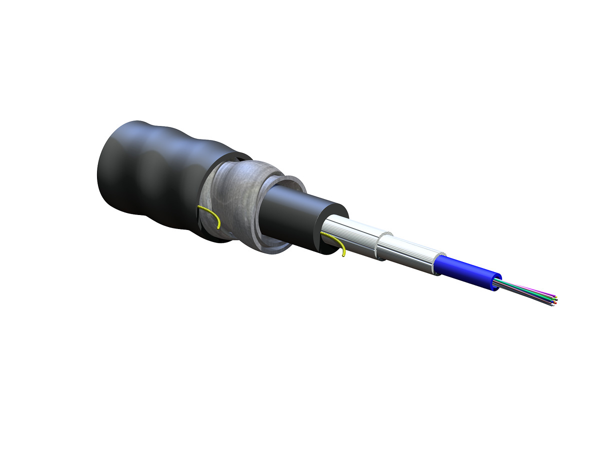 12 F, 50 µm multimode, extended 10G distance (OM4)