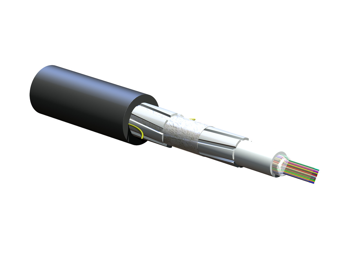 024ECF-14101-20 | FREEDM Ribbon, Gel-Filled Cable, Riser 24 024ECF-14101-20 | FREEDM Ribbon, Gel-Filled Cable, Riser 24