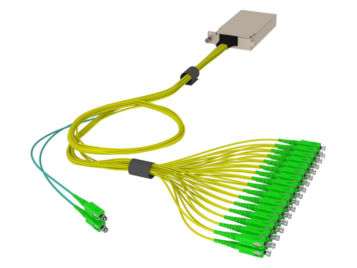 Dual 1x16, SC APC connectors