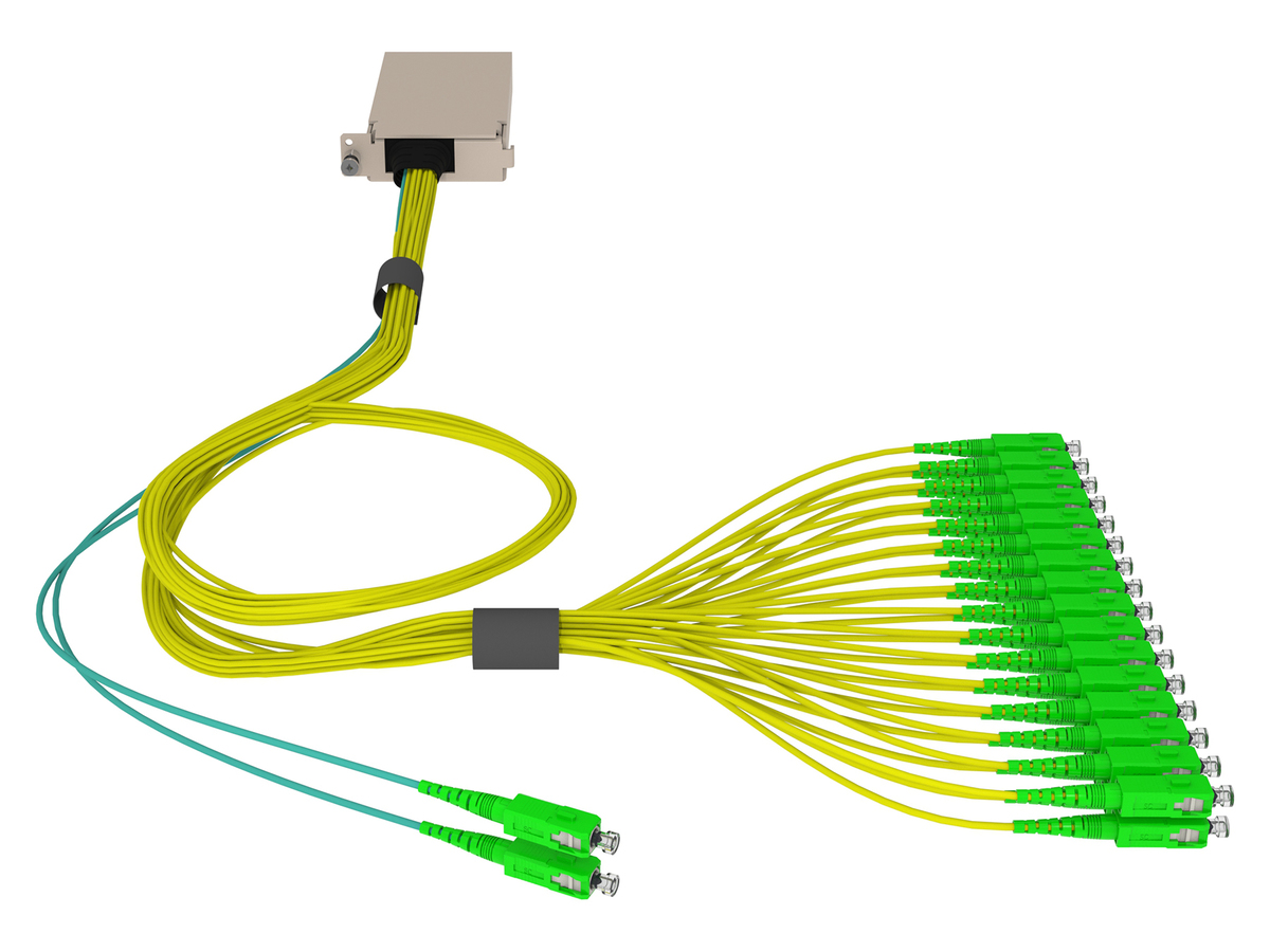Dual 1x16, SC APC connectors