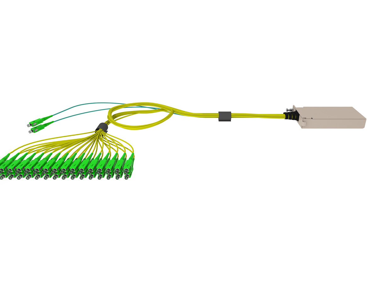 Dual 1x16, SC APC connectors