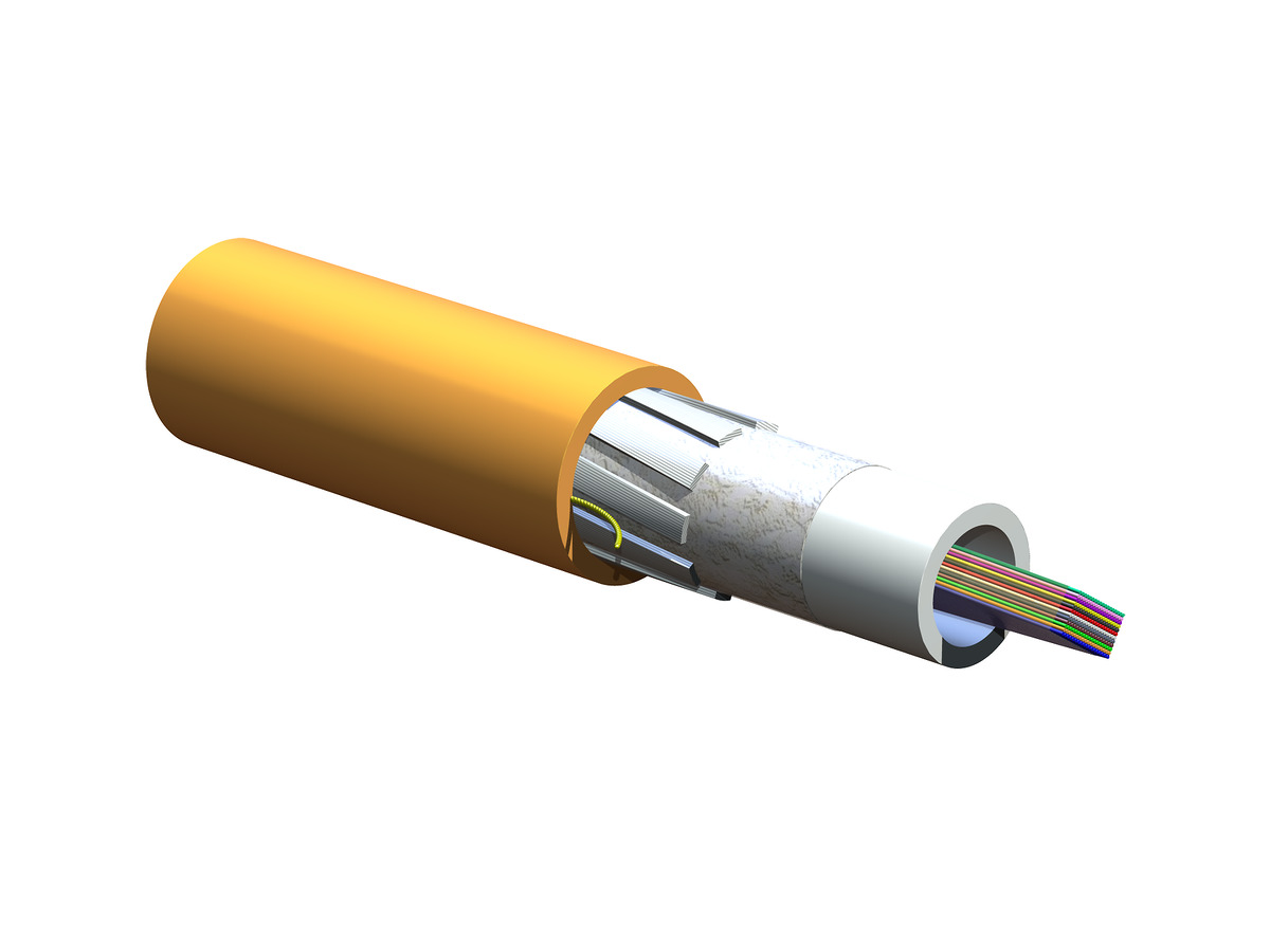 216 F, 50 µm multimode (OM2)