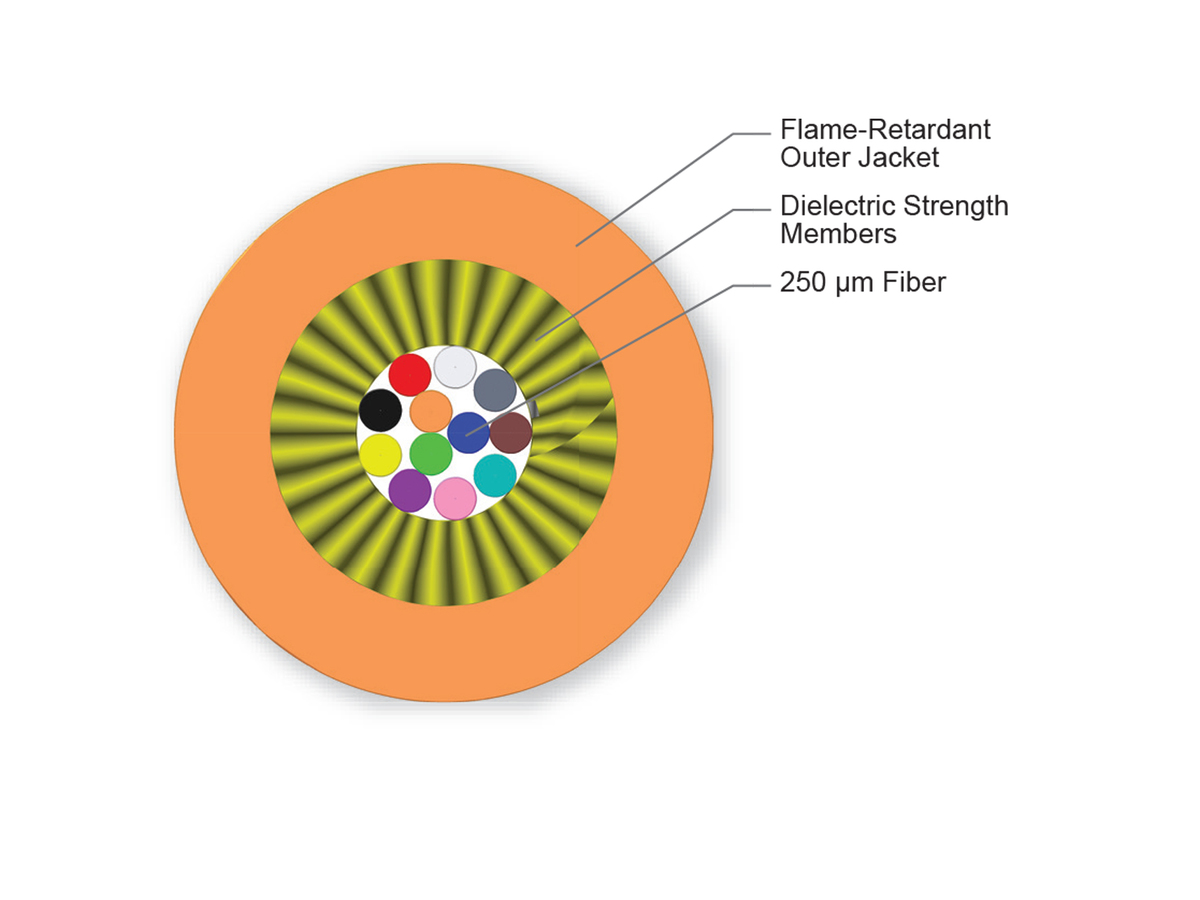 12 F, 62.5 µm multimode (OM1)