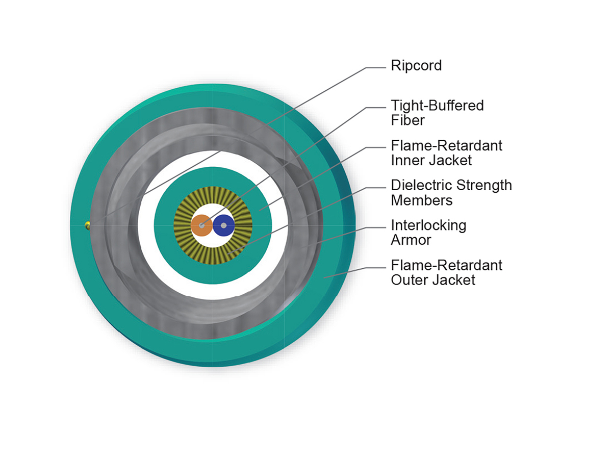 2 F, 50 µm multimode (OM4)