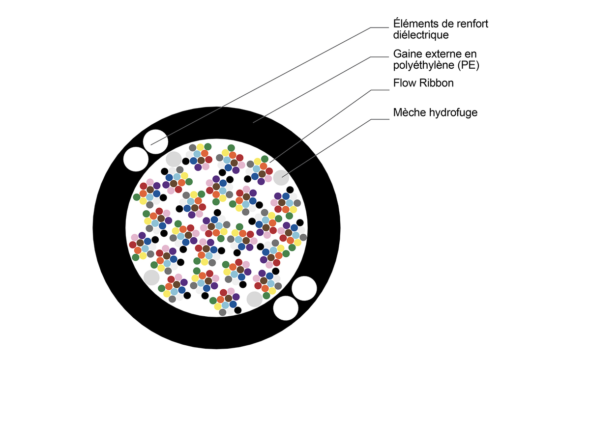 288F, monomode, courbure améliorée (OS2)