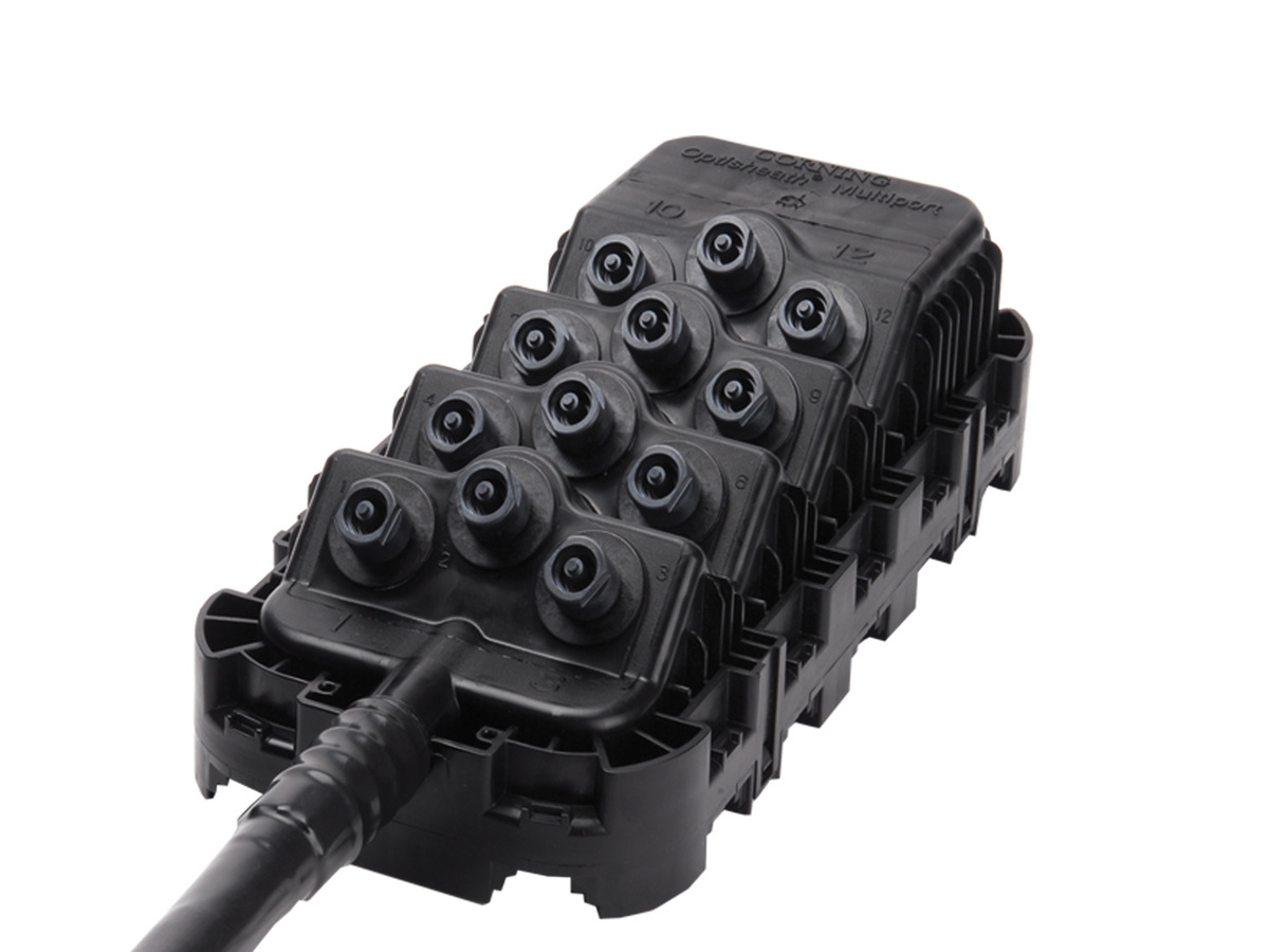 24 F, 12 fibers per port, Single-mode (OS2), 500 ft