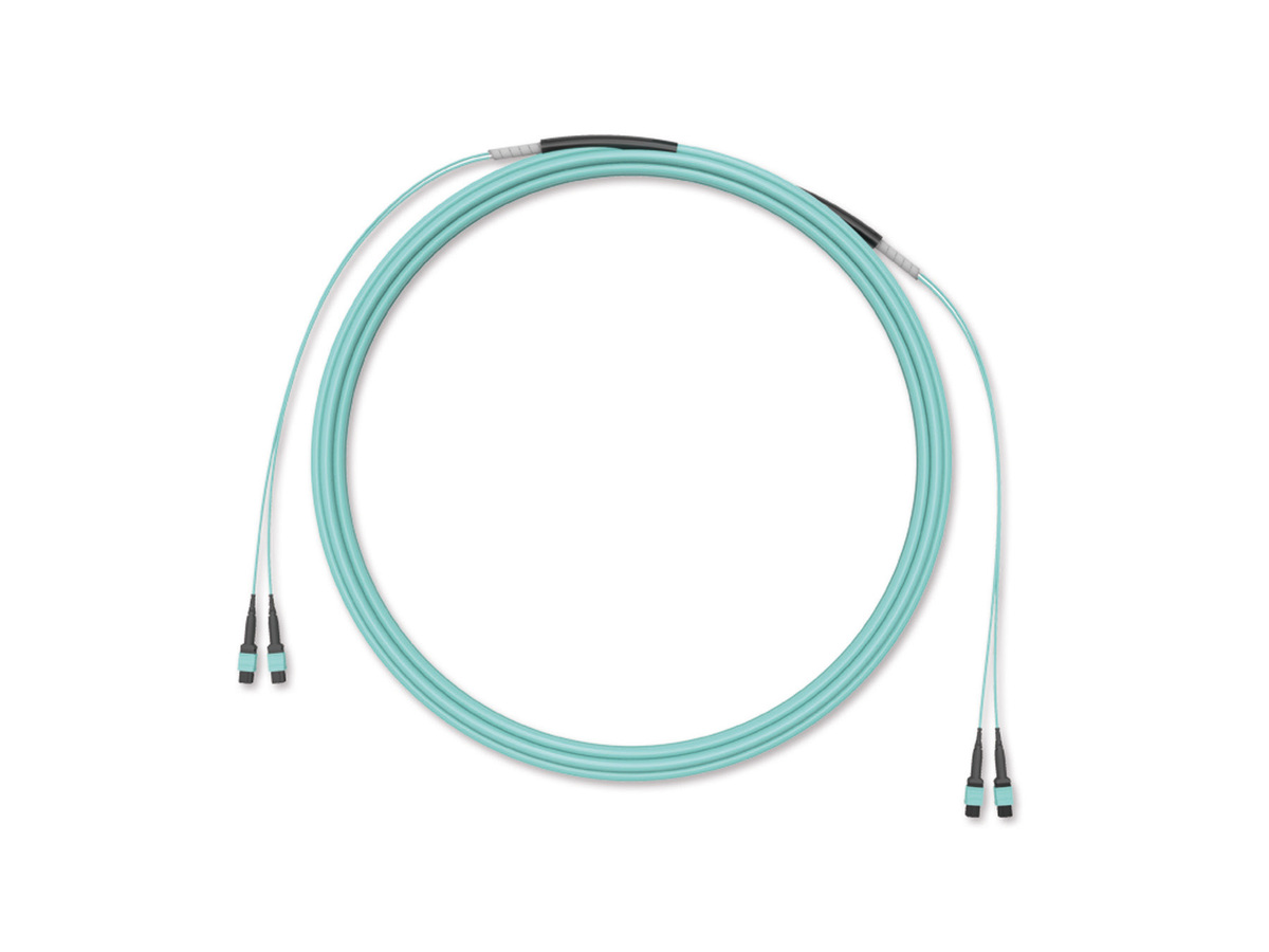 Universal, OM4, MTP® to MTP®, 24 F