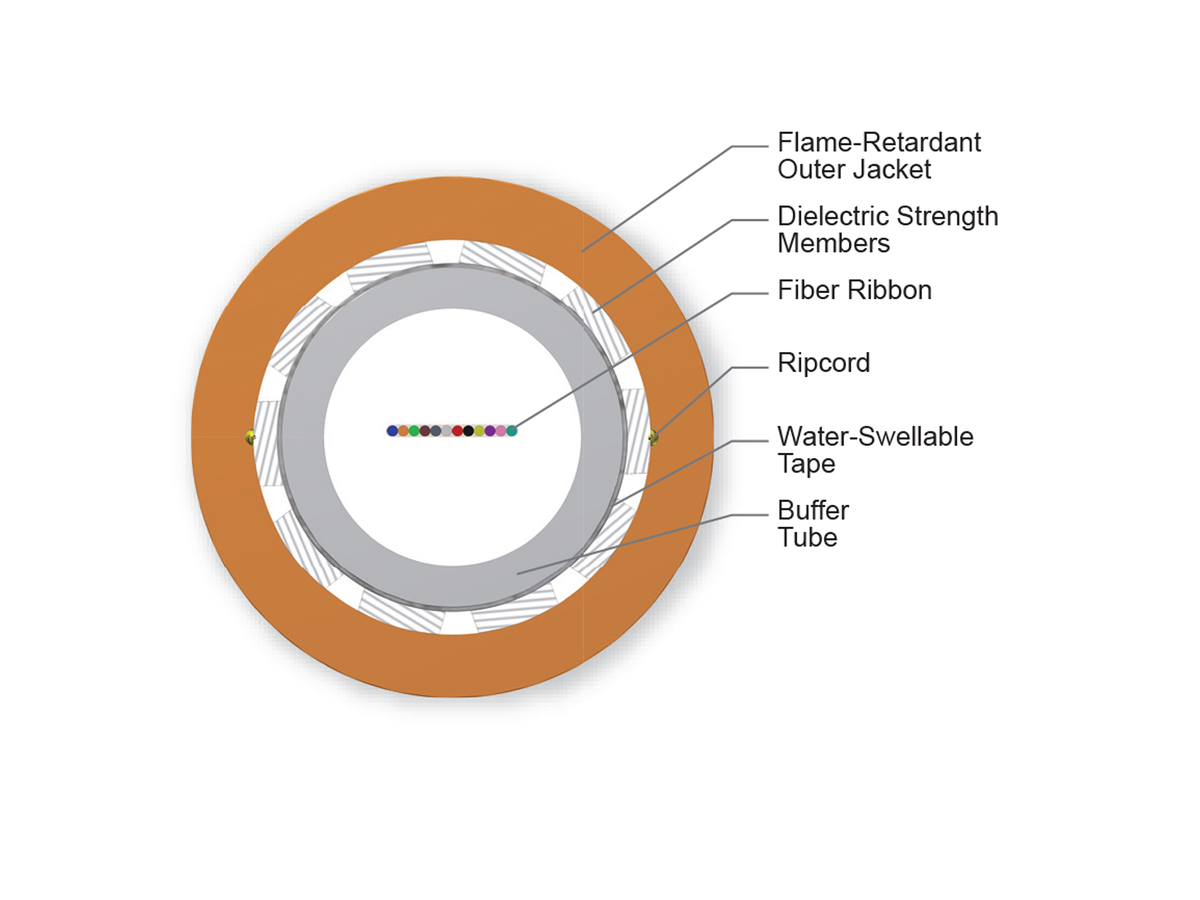 12 F, 62.5 µm multimode (OM1)