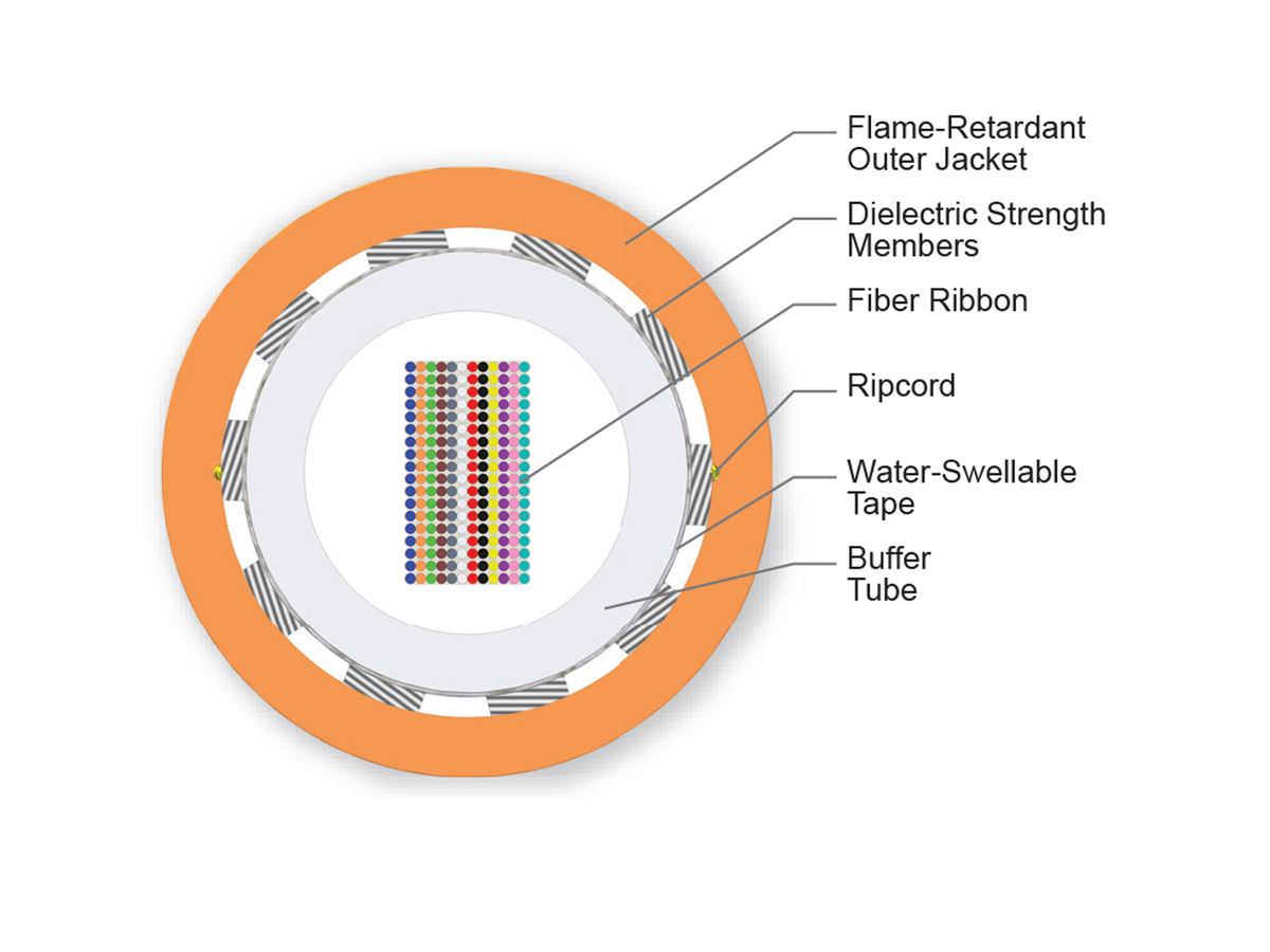 216 F, 50 µm multimode (OM2)
