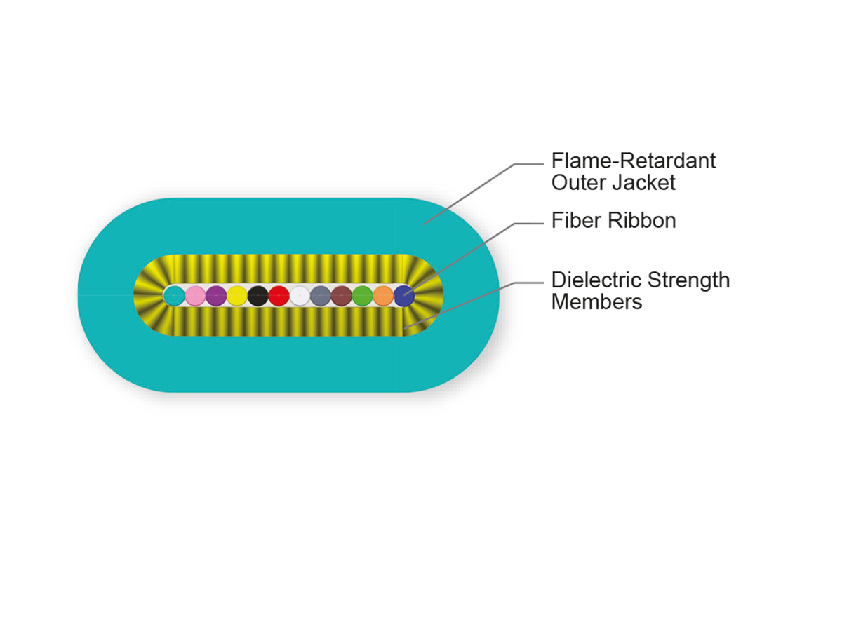12 F, 50 µm multimode (OM4)
