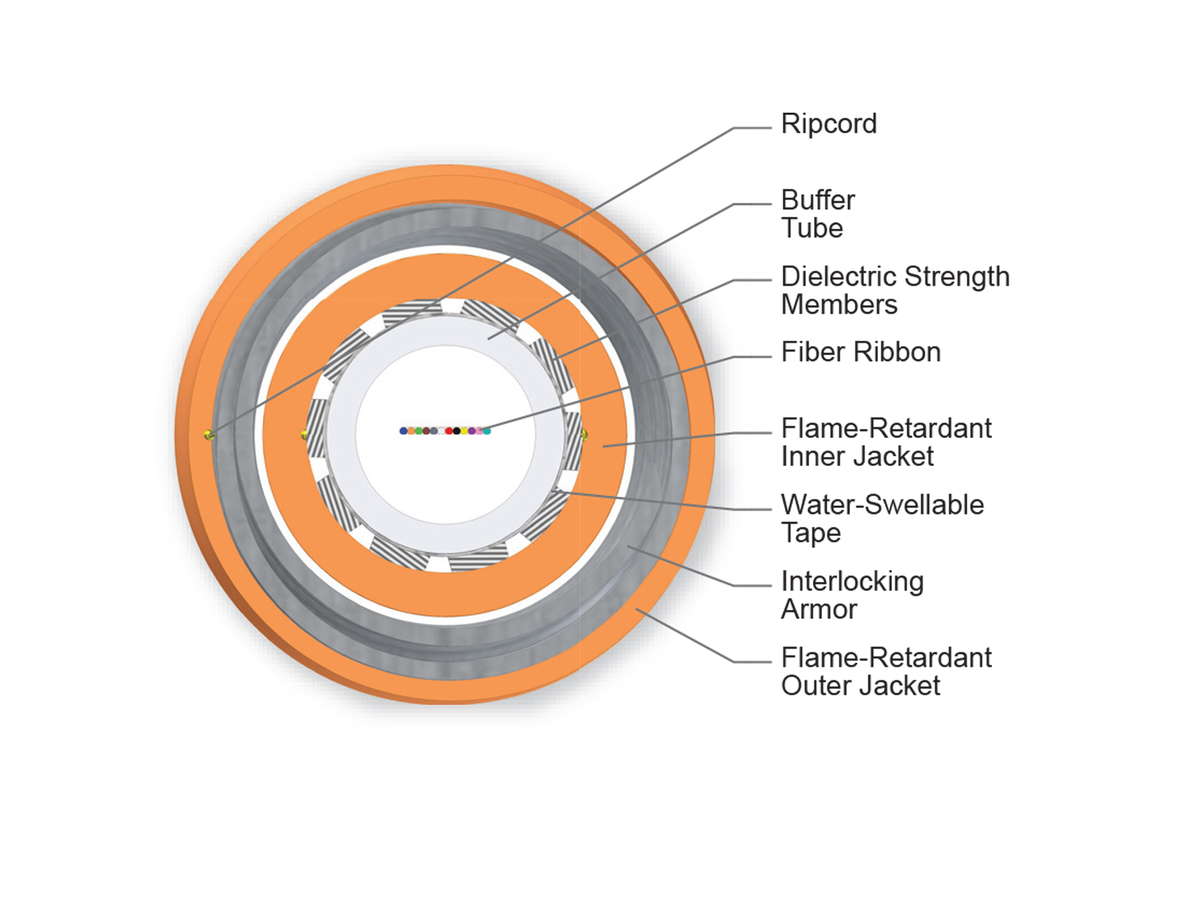 12 F, 62.5 µm multimode (OM1)