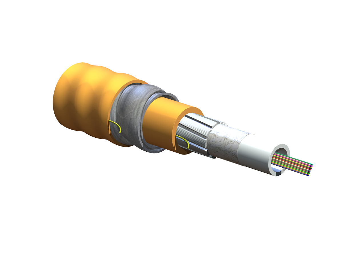 12 F, 50 µm multimode (OM2)
