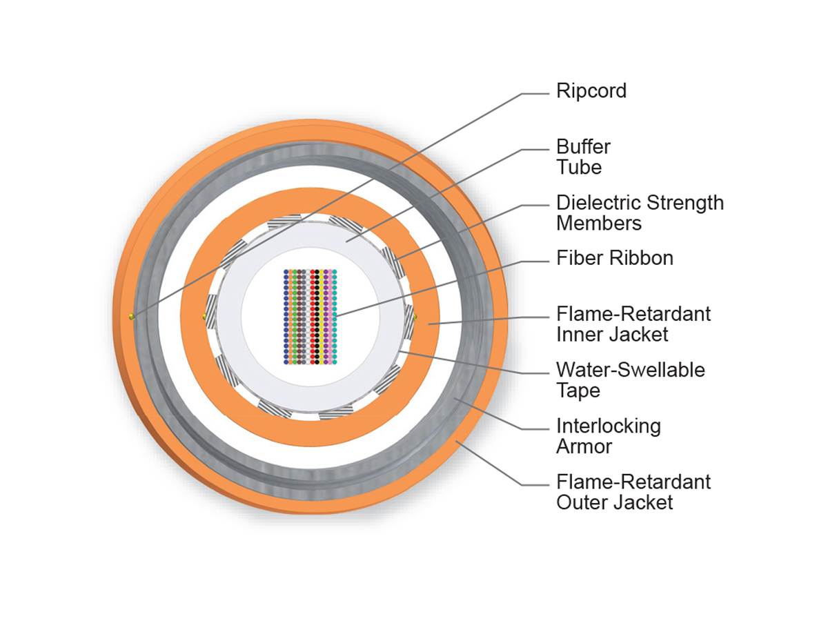 216 F, 50 µm multimode (OM2)