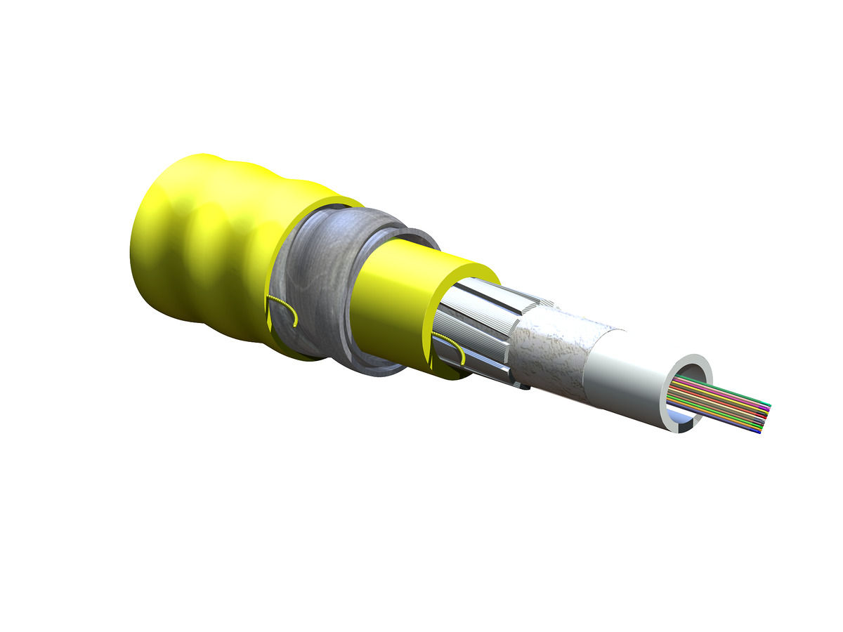 24 F, Single-mode (OS2)