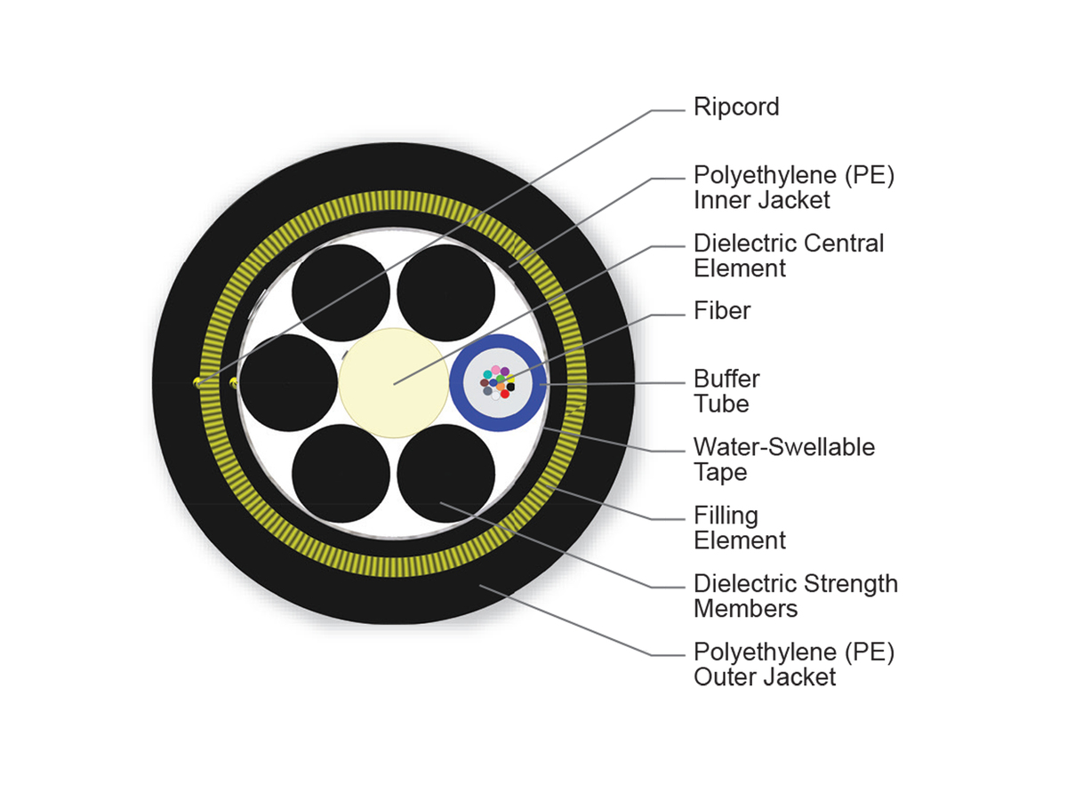 12 F, 62.5 µm multimode (OM1)