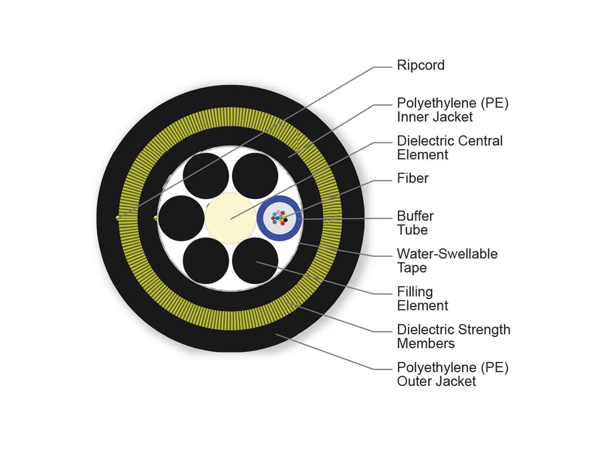 12 F, 62.5 µm multimode (OM1)