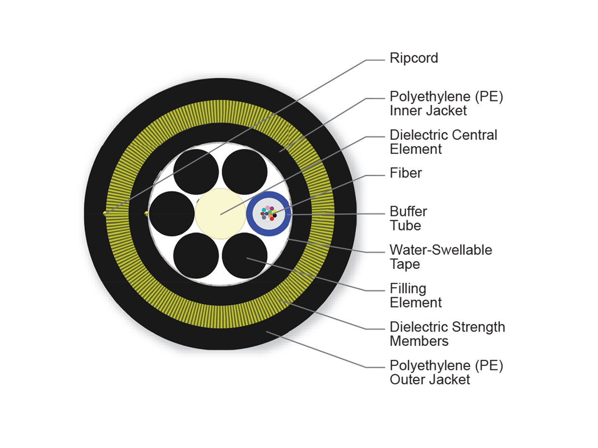 12 F, 62.5 µm multimode (OM1)