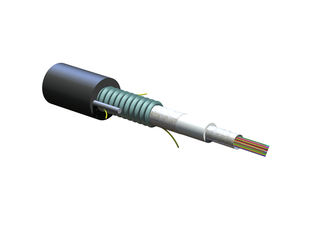 12 F, Single-mode (OS2)