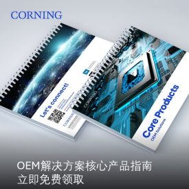 OEM 解决方案