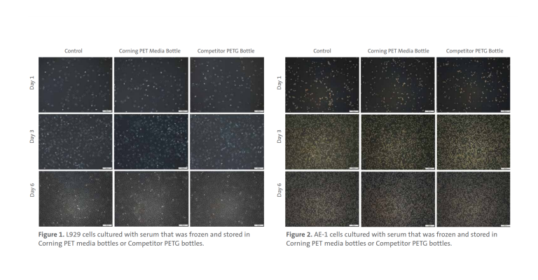 Discover more about the performance of Corning PET Media Bottles compared to PETG competitors for low-temperature serum storage.