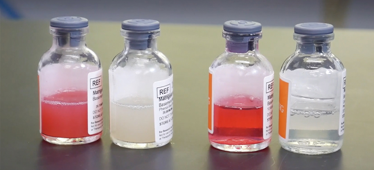 Corningマトリゲル基底膜マトリックスのバイアル