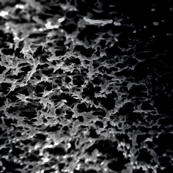 Tissue Engineering