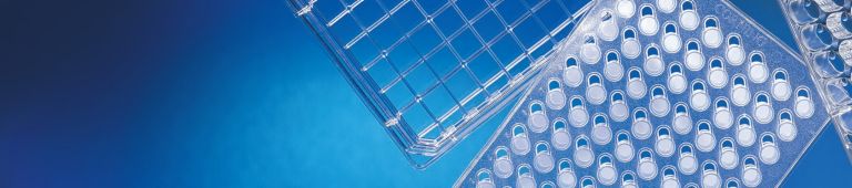 Guidelines For Use Transwell Permeable Supports Life Sciences Corning
