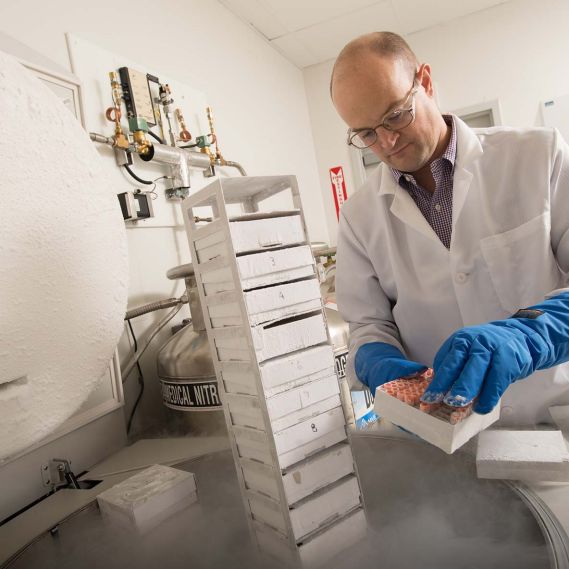 Scientist in the lab